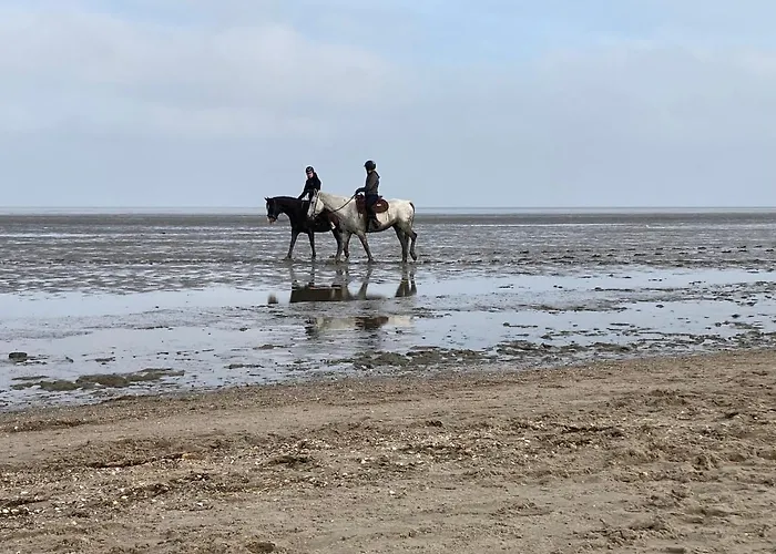 Nordstrand * Horumersiel